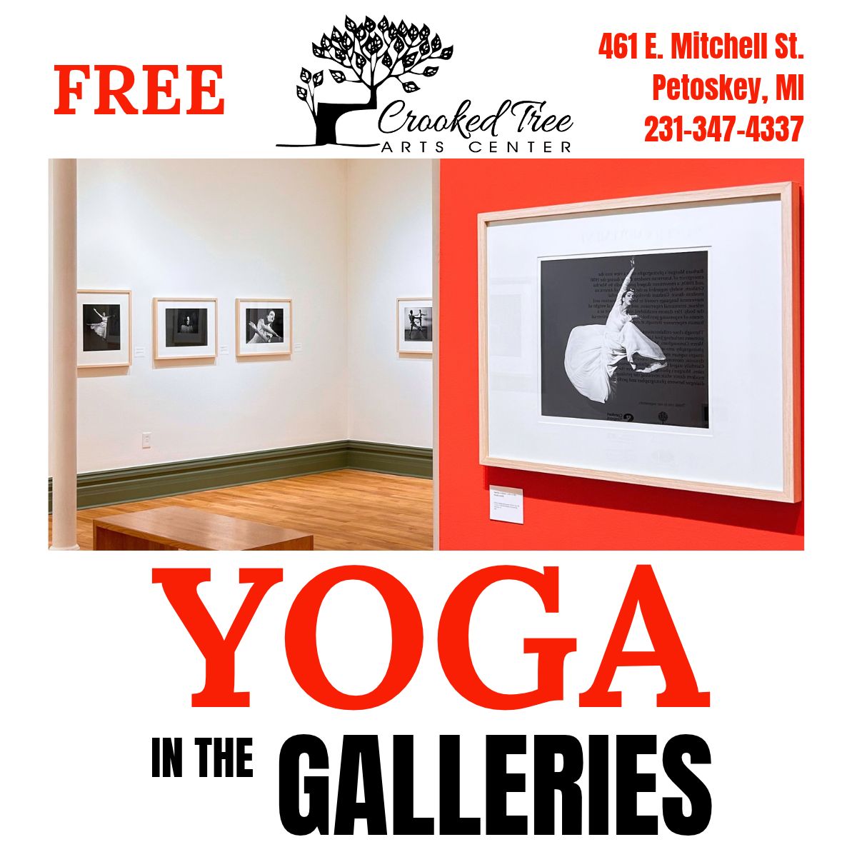 Yoga in the Galleries: Breath & Movement